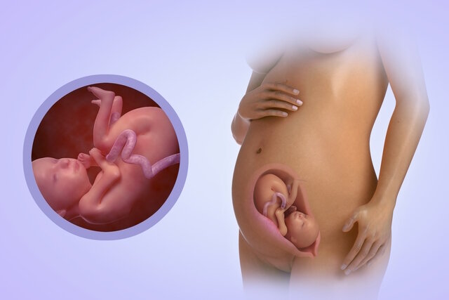 Малыш 25 Недель Беременности Фото